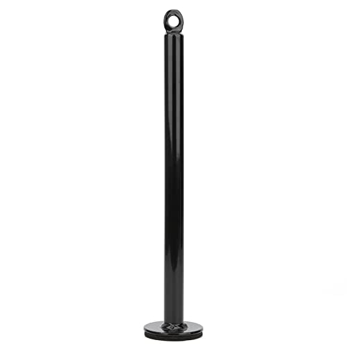 Ejoyous Barbell Loading Pin, Stainless Steel Weight Plate Holder for Dumbbell Grip Strength Training, with 3 Sizes - size: 20 diameter*320mm