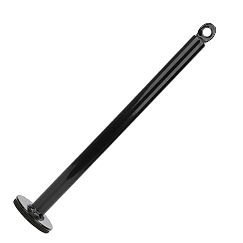 Pissente Barbell Support Frame Loader Pin, Stainless Steel Loading Pin for Grip Strength Arm Training Home Gym Free Weight Setup - size: 20 diameter * 320 mm