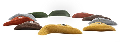 Atomik Rock Climbing Holds Set of 10 Bolt-On Steep Wall Thin Crimps in Assorted Earth Tones