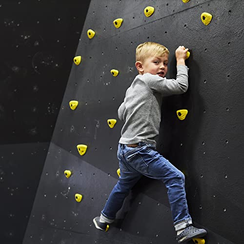 Escape Climbing Kids' 21-Hold Rock Climbing Starter Pack Great for Home or Gym Rock Climbing Walls, Bright Colors (All Gray)