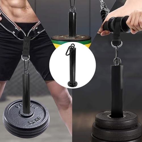Loading Pin for Weight Plates: Weight Loading Pin with Carabiner Fit 1 inch Olympic Weight Plate for Cable Pulley LAT Pulldown - color: 2in Weight Loading Pin
