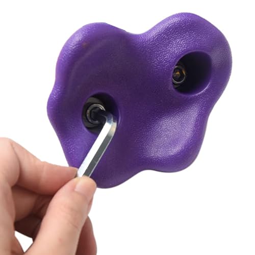 SUNGOOYUE 20 PCS Rock Climbing Holds, Ergonomic PE Rock Wall Grips with Screws and Wrench Tool, for Indoor Outdoor Kids - color: Violet