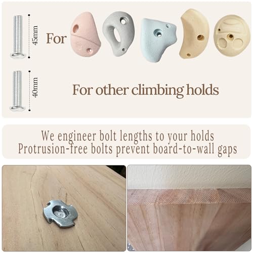 Premium Resin Rock Climbing Holds for All Ages, Large Training Rock Climbing Wall Grips Indoor/Outdoor, Rock-Like Texture Climbing Wall with Mounting Hardware - color: 40 Pcs