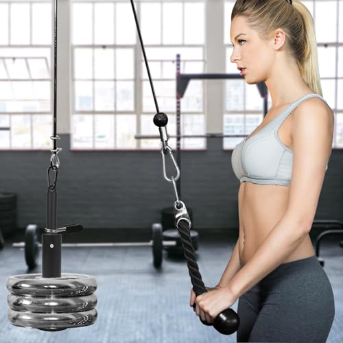 LFJ Weight Loading Pin with Carabiner fit 1 inch and 2 inch Olympic Weight Plate for Cable Pulley System LAT Pulldown - style: Fit Two Plates