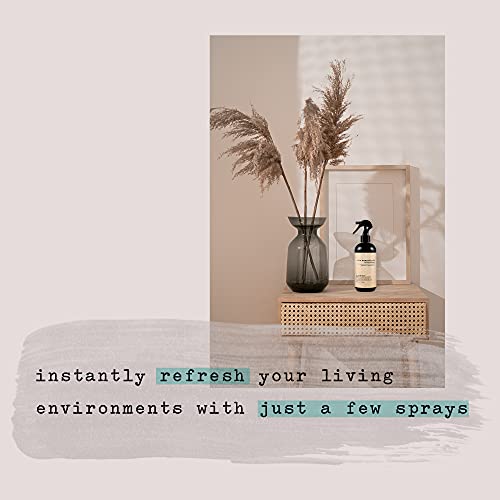 Air Essentials 12 oz Air Freshener & Odor Eliminator Spray - Neutralize Odors from Smoke, Pets, Food & Garbage in Homes, Offices & Cars - Made with Clean Essential Oils (Eucalyptus Mint, 2-Pack)