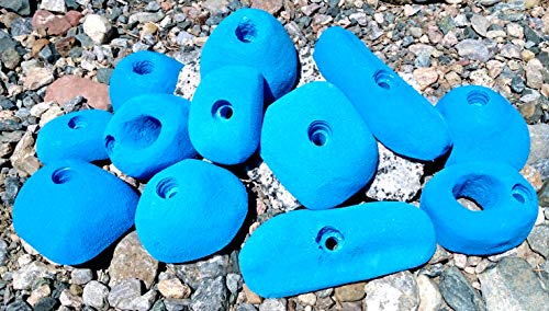 12 Pack Large Polyurethane Bolt-On Rock Climbing Wall Hand Holds - color: blue
