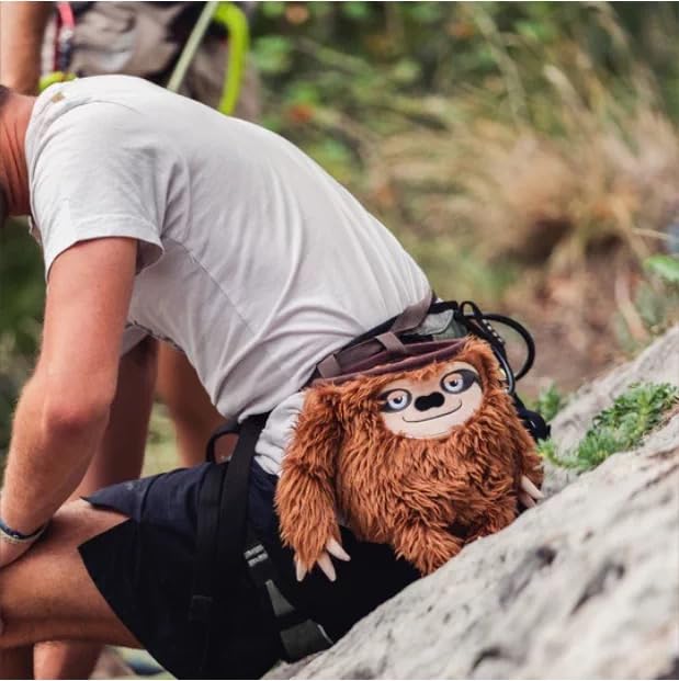 Chalk Bag for Rock Climbing - color: sloth