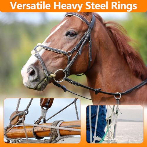 BEYOURD Metal O Rings, 304 Stainless Steel Welded Hardware Rings for Dog Collars & Leashes, Macrame, Ropes, Hanging Straps - color: Id120mm, size: WD12mm