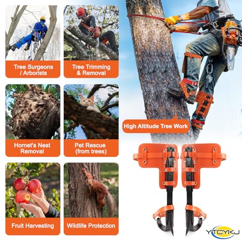 Professional Tree Climbing Spikes Set – Height-Adjustable Climbing Spurs | 350lb Load Rating Tree Climbing Gear, Includes Rope & Straps for Arborists, Hunters, Fruit Harvesting