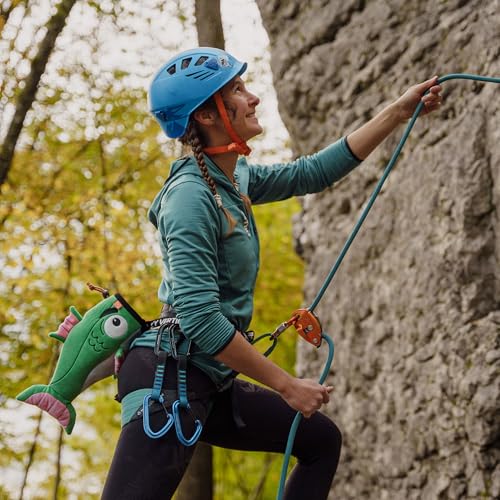 YY Vertical Rock Climbing Chalk Bags - style: Fish