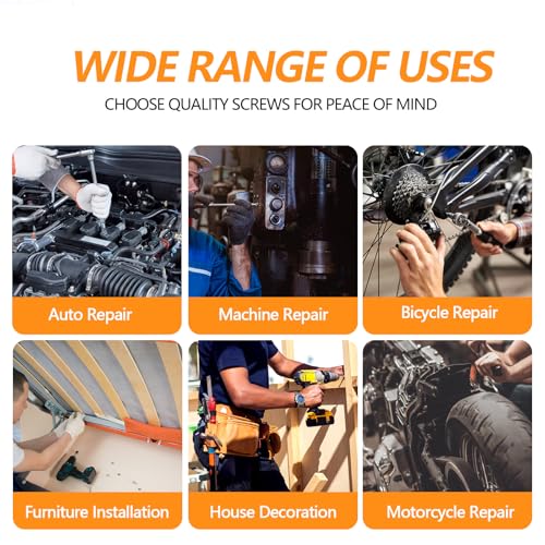 200 PCS M6 Screws Assortment Kit, Hex Socket Head Screws Nuts Bolts and Washers Set, 304 Stainless Steel Metric Machine Screws,16/20/30/40/45/50mm Metric Hex Head Socket Cap Bolt & Nut Assortment - size: M6 - 200PCS