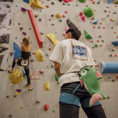 YY Vertical Rock Climbing Chalk Bags - style: Fish