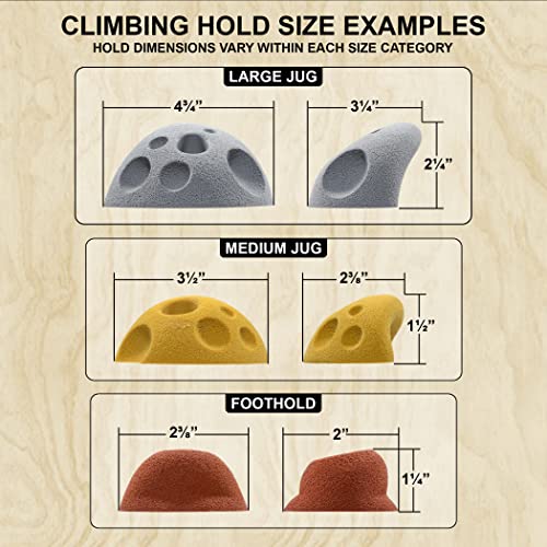 Atomik Climbing 24 Classic Hand and Foot Holds Bolt-On in Assorted Earth Tones
