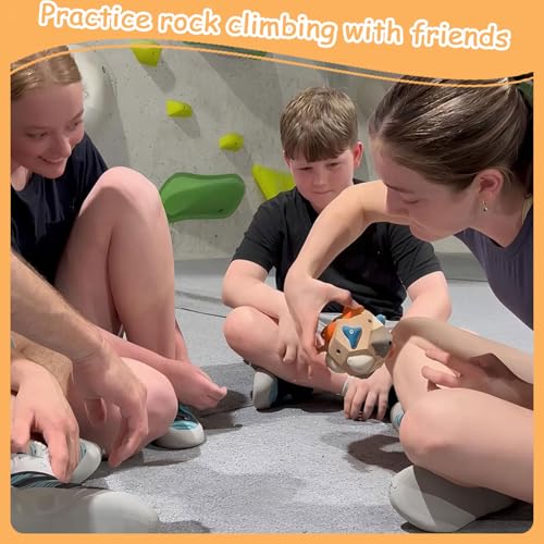 Handcrafted Boulder Block for Climbers,Finger Strengthener & Grip Trainer for Rock Climbers,Includes Detailed Instructions and Gameplay Rules,Bouldering Training Tool Gift