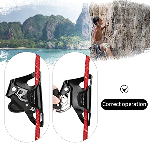 WILDKEN Rock Climbing Chest Ascender Climbing Mountaineering Tree Arborist | Rappelling Gear Climbing Equipment Rope Clamp for 10-13MM Rope - color: Black