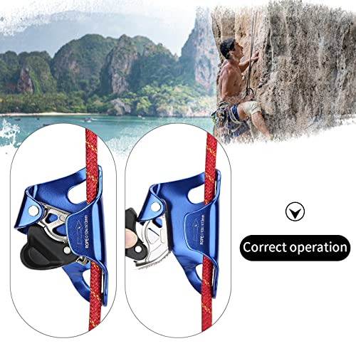WILDKEN Rock Climbing Chest Ascender Climbing Mountaineering Tree Arborist | Rappelling Gear Climbing Equipment Rope Clamp for 10-13MM Rope - color: Blue