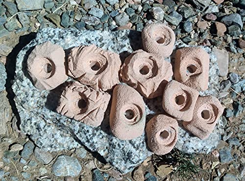 Small Holds Climbing Pack of 10 Bolt-on Holds of Foot and Crimp Size - color: Tan