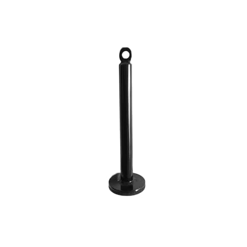 Equipment Dumbbell Barbell Rack Holder Weight Plate Loading Pin Dumbbell Rack, Weightlifting Holder Stand Fitness Loading Pin - color: Diameter 0.8 x 8.7 inches (20