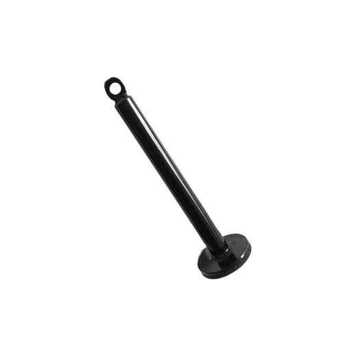 Equipment Dumbbell Barbell Rack Holder Weight Plate Loading Pin Dumbbell Rack, Weightlifting Holder Stand Fitness Loading Pin - color: Diameter 0.8 x 8.7 inches (20