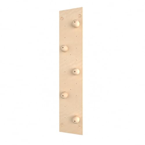 Kids Climbing Wall Panel, Wood Swedish Ladder Climbing Wall Panel 1.22m × 2.44m, Indoor Home Use Bouldering Wall for Physical Training, Grip Sphere Board