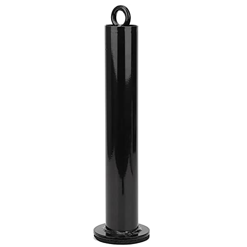 Ejoyous Barbell Loading Pin, Stainless Steel Weight Plate Holder for Dumbbell Grip Strength Training, with 3 Sizes - size: 48 diameter*320mm