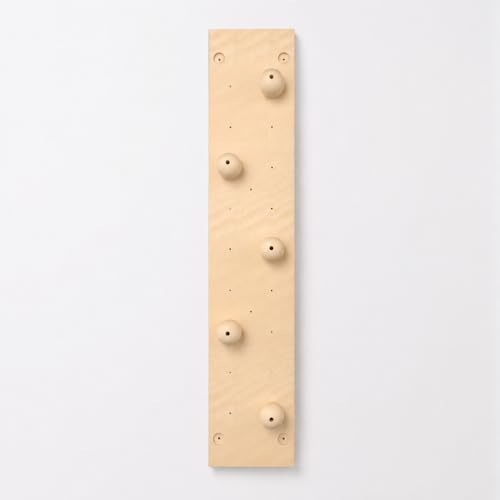 Kids Climbing Wall Panel, Wood Swedish Ladder Climbing Wall Panel 1.22m × 2.44m, Indoor Home Use Bouldering Wall for Physical Training, Grip Sphere Board