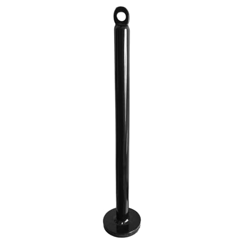 Equipment Dumbbell Barbell Rack Holder Weight Plate Loading Pin Dumbbell Rack, Weightlifting Holder Stand Fitness Loading Pin - color: Diameter 0.8 x 12.6 inches (20