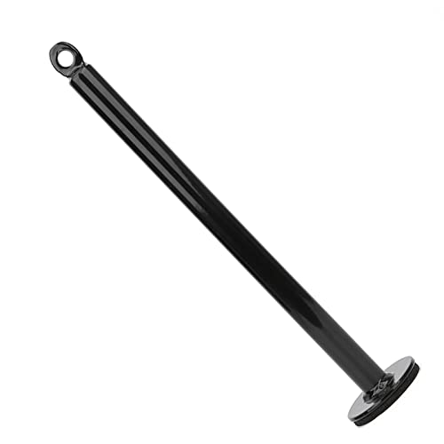 EVGATSAUTO Loading Pin, Stainless Steel Weight Plate Holder Grip Training Tool, 20mm or 48mm Tube Diameter, Bottom Support Frame for Forearm Work Home Gym Strength Training - size: 20 diameter*320mm