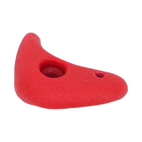 5 Pcs Climbing Holds, Colorful Resin Wall Grips with Mounting Hardware for Kids Indoor Outdoor Climbing