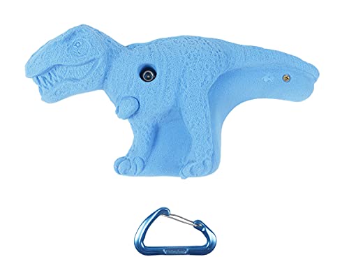 Atomik Rock Climbing Holds Set of 5 XL Dinosaurs in Assorted Bright Tones