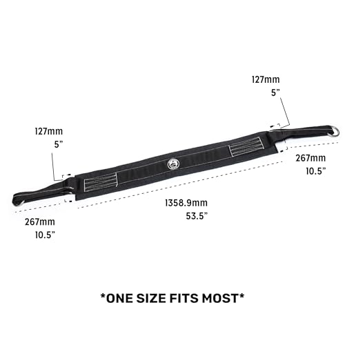 Belt Squat Belt [Bells of Steel] 5in Width for Weight Lifting, 12in Chain Length, Padded, Heavy Duty