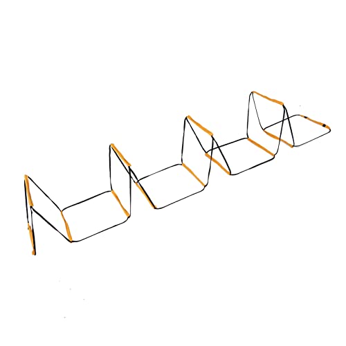 12 Rung Ladder for Speed Training - Football Soccer Basketball Hockey Tennis Badminton - Iron & Cloth Design with Storage Bag