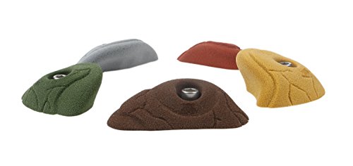 Atomik Rock Climbing Holds Set of 5 Bolt-On Medium Classic Edges Style 1 in Assorted Earth Tones