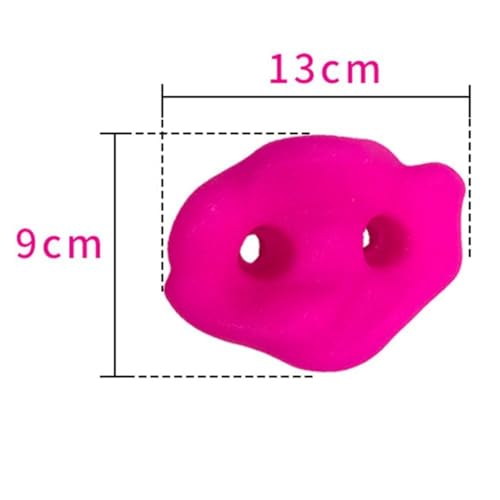JEOZBM Rock Climbing Holds, 10Pcs Kids Climbing Stones Kit with 20 Swing Fasteners, Rock Wall Climbing Kit for Outdoor Indoor Home Playground