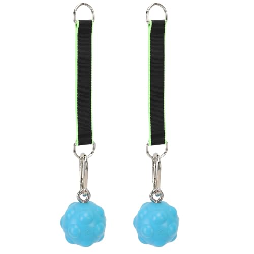 RiToEasysports Pull Up Ball Grips, TPE Climbing Training Balls with Stainless Steel for Strength Trainer, Kettlebell Barbell Home Gym Workout - color: Blue