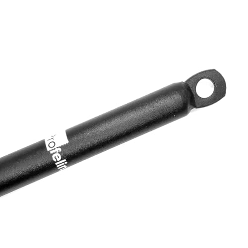 Weight Plate Loading Pin with Carabiner fit 1" 2" Weight Plates for LAT Pulldown Workout Home Strength Training Cable Pulley System Attachment