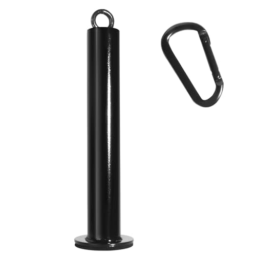 Loading Pin for Weight Plates: Weight Loading Pin with Carabiner Fit 1 inch Olympic Weight Plate for Cable Pulley LAT Pulldown - color: 2in Weight Loading Pin