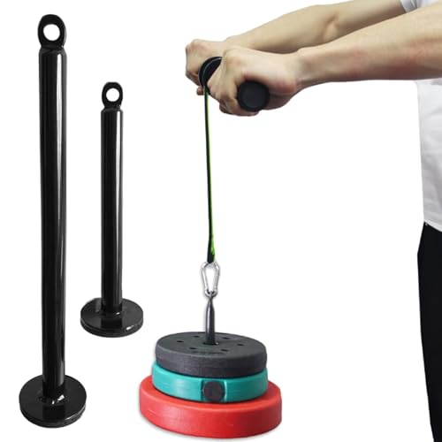 Fitness Loading Pin Cable Pulley Systems Weight Plates Barbell Plate Support Frame Freeweight Rod Loading Pin Equipment