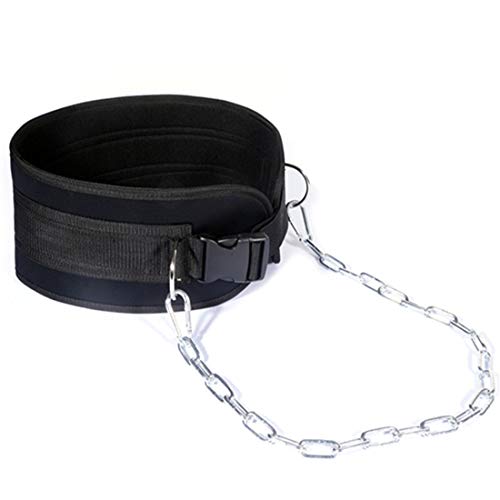 Pull-up Belt Weighted Dip Belt with Chain Double D-ring Weightlifting Back Support Strap Home Gym Equipment Waist Belt - color: with plastic buckle