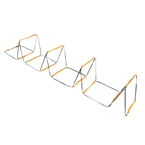 12 Rung Ladder for Speed Training - Football Soccer Basketball Hockey Tennis Badminton - Iron & Cloth Design with Storage Bag