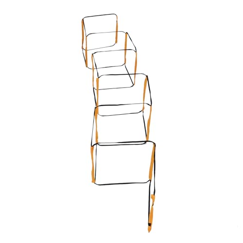 12 Rung Ladder for Speed Training - Football Soccer Basketball Hockey Tennis Badminton - Iron & Cloth Design with Storage Bag