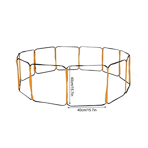 12 Rung Ladder for Speed Training - Football Soccer Basketball Hockey Tennis Badminton - Iron & Cloth Design with Storage Bag