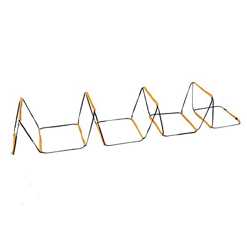 12 Rung Ladder for Speed Training - Football Soccer Basketball Hockey Tennis Badminton - Iron & Cloth Design with Storage Bag