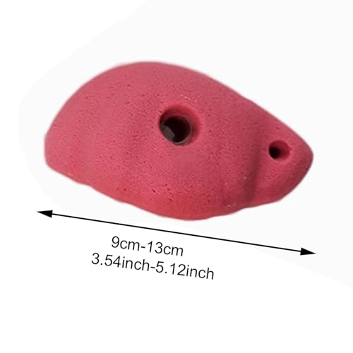 10 Pieces Rock Climbing Wall Holds Indoor Outdoor Climbing Grips Resin Material Easy Installation Textured Surface Suitable for Playground Home, with Back Nail Screw