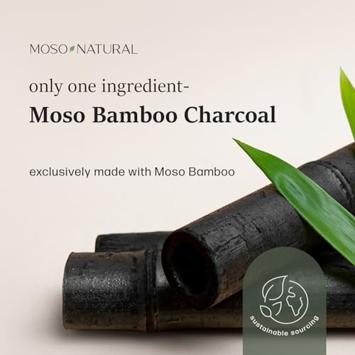 Moso Natural Shoe Deodorizer Inserts, Charcoal Odor Absorber for Shoes, Gym Bag & Boot Deodorizer, Unscented Shoe Odor Elimination, Air Purifying Bags, Lasts 2 Years (2 Bags) - style: 1 Pack (2 Total)