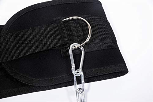 Pull-up Belt Weighted Dip Belt with Chain Double D-ring Weightlifting Back Support Strap Home Gym Equipment Waist Belt - color: with plastic buckle