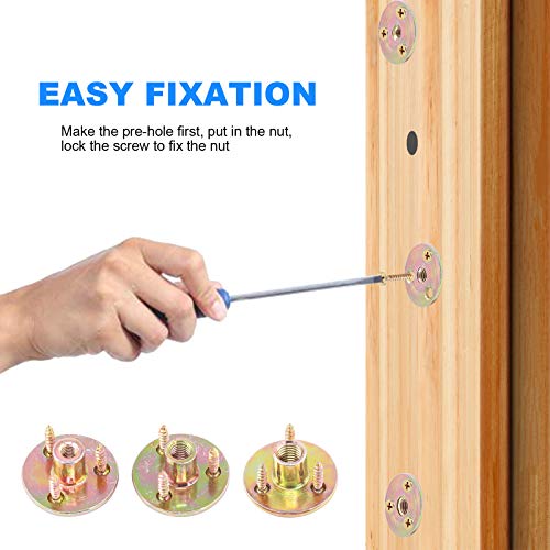 Glarks 64Pcs M8(5/16'') Brad Hole Tee Nut with Mounting Screws Set Zinc Plated Carbon Steel 3-Hole T-Nuts Furniture Hardware Flange Insert Female Thread for Wood Furniture - size: 5/16''(M8) - 64Pcs