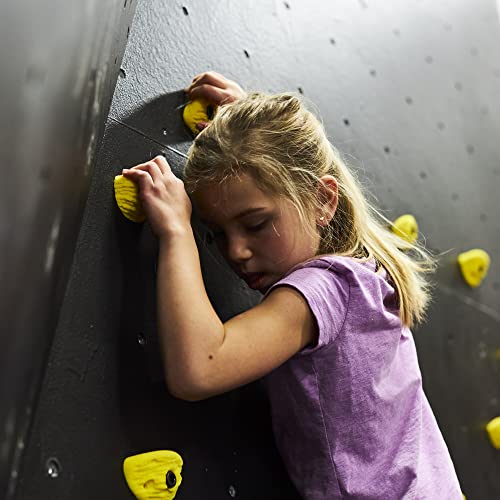 Escape Climbing Kids' 21-Hold Rock Climbing Starter Pack Great for Home or Gym Rock Climbing Walls, Bright Colors (All Gray)