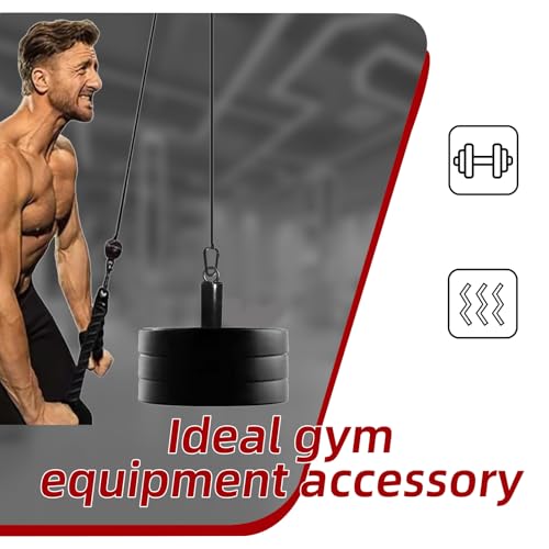 Loading Pin for Weight Plates: Weight Loading Pin with Carabiner Fit 1 inch Olympic Weight Plate for Cable Pulley LAT Pulldown - color: 2in Weight Loading Pin