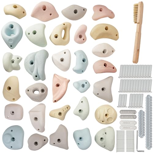 Premium Resin Rock Climbing Holds for All Ages, Large Training Rock Climbing Wall Grips Indoor/Outdoor, Rock-Like Texture Climbing Wall with Mounting Hardware - color: 30 Pcs